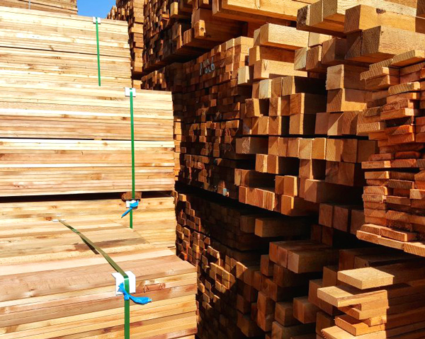 Bunks of cedar wood lumber in Denver, Colorado.