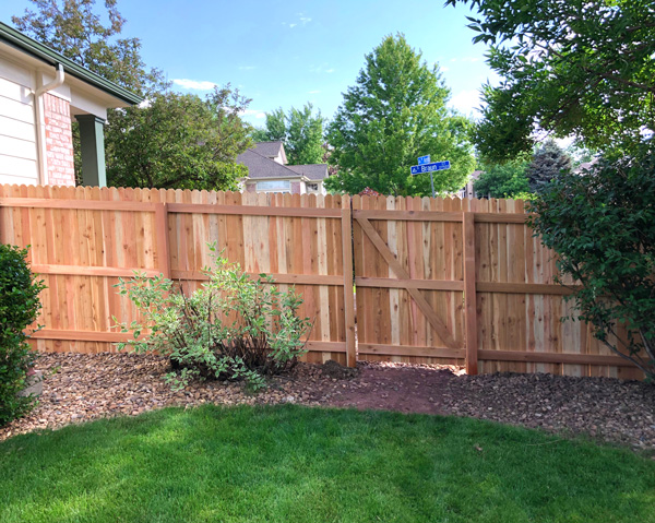 New cedar wood dog ear picket fence with gate in Littleton, Colorado.