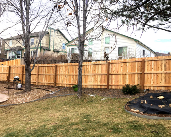 New cedar wood picket privacy fence in back yard in Littleton, Colorado.