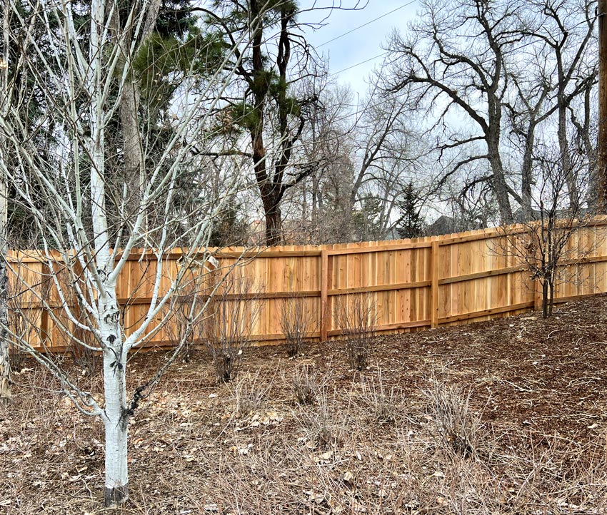 New cedar wood picket privacy fence in back yard in the Cherry Hills neighborhood in Denver, Colorado.