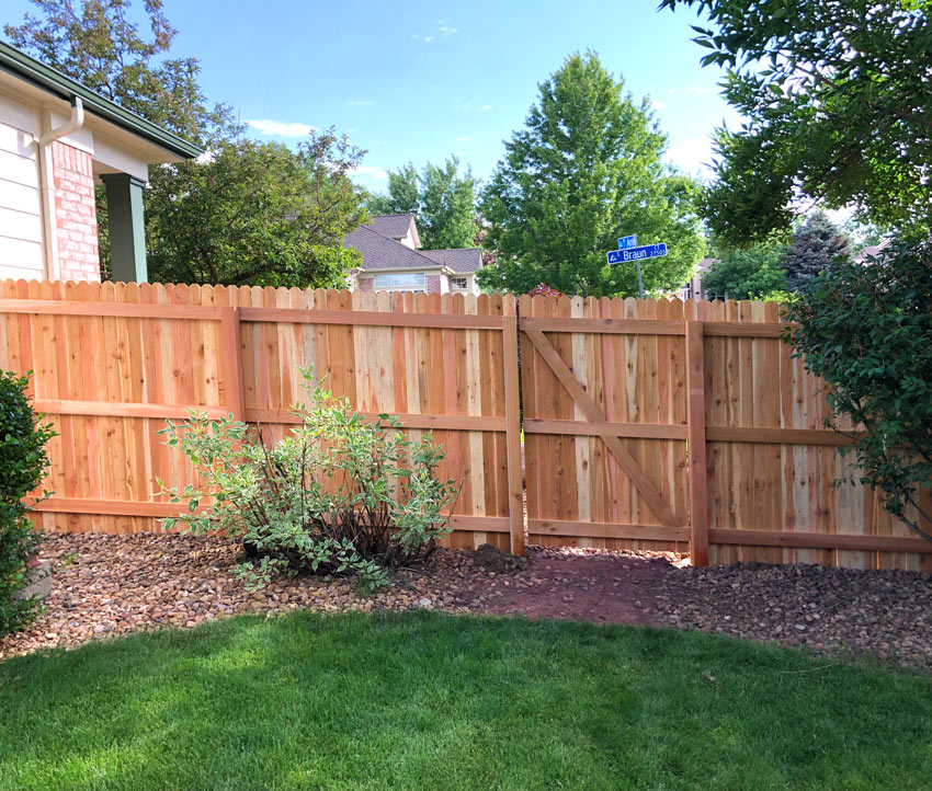 New cedar wood dog ear picket fence with gate in Littleton, Colorado.