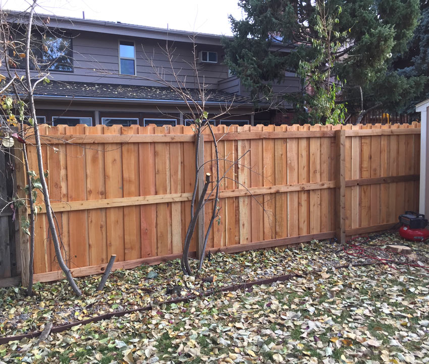 Board on board cedar wood fence section replacement in Denver, Colorado.