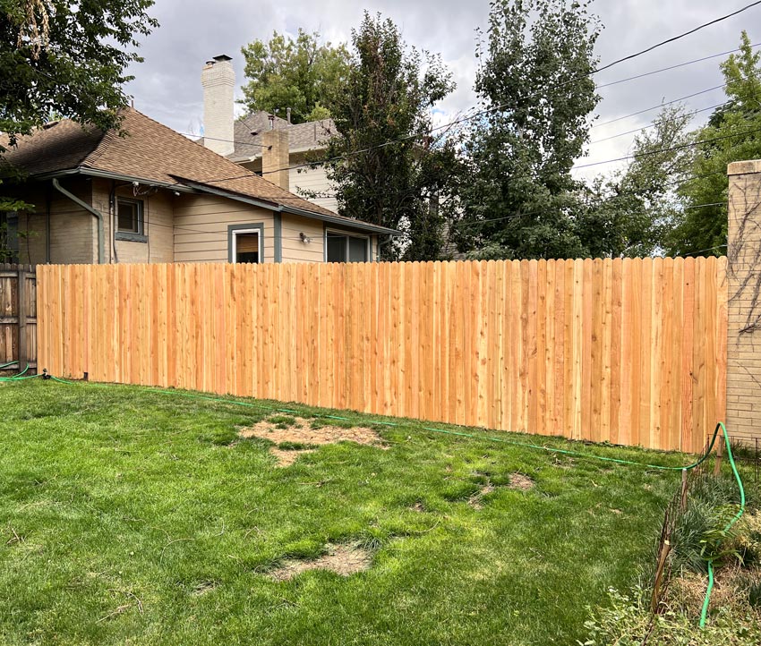 New cedar wood dog ear picket privacy fence in back yard in Denver, Colorado.