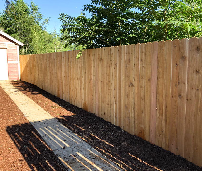 New cedar wood stockade picket privacy fence in back yard in Denver, Colorado.