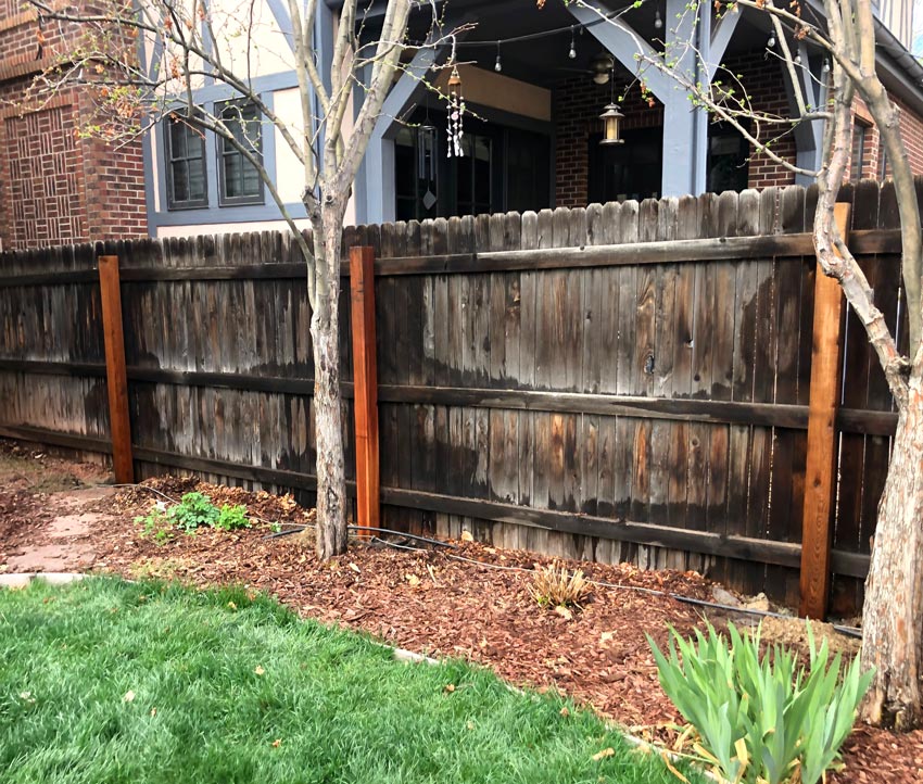 Old cedar wood privacy fence post replacement in Denver, Colorado.