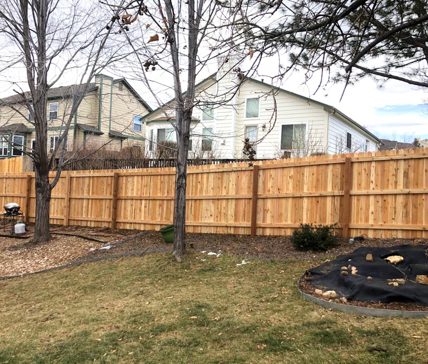 New cedar wood picket privacy fence in back yard in Littleton, Colorado.