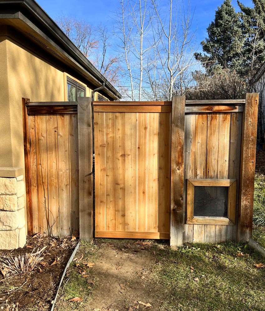 Cedar wood fence gate replacement between existing gate hinge and latch posts in Denver, Colorado.