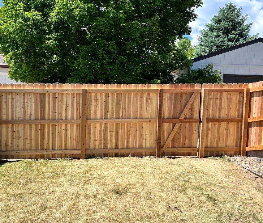 wood_privacy_fence_gate_lakewood_colorado Cedar wood privacy fence replacement in Denver, Colorado, near Sloans Lake